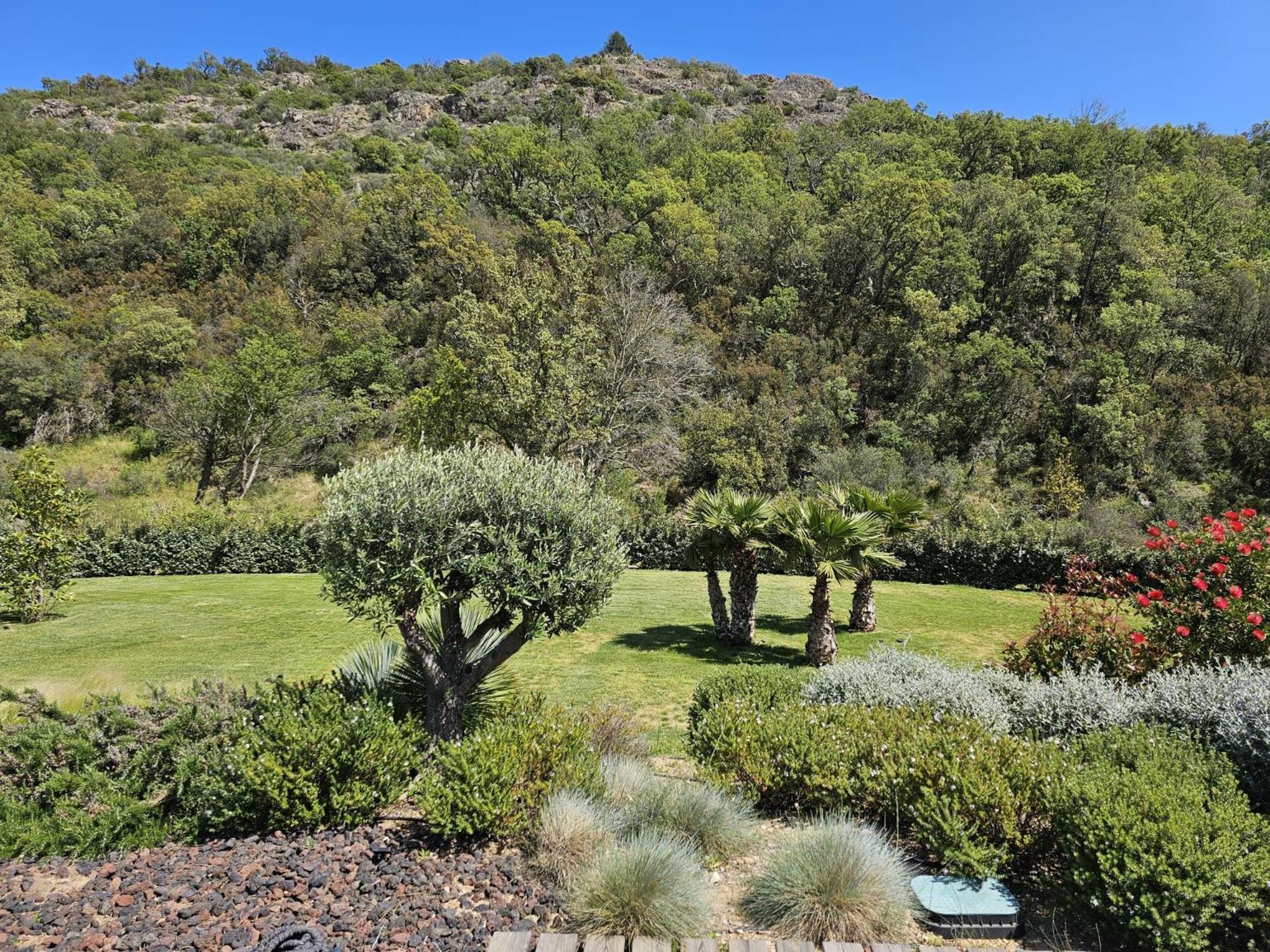 Villa Les Trois J Grimaud Eksteriør bilde